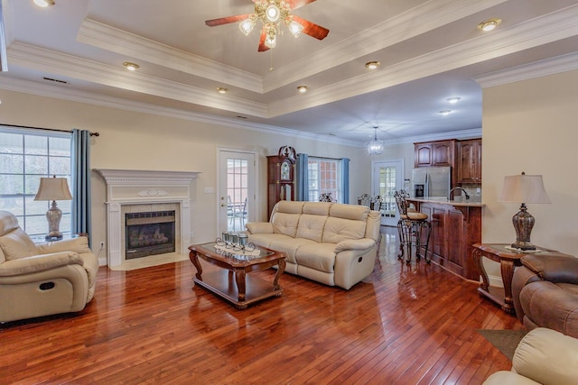 living room featuring plenty of natural light, a tray ceiling, and dark hardwood / wood-style flooring