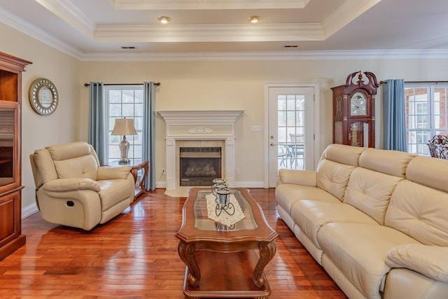 living room featuring a healthy amount of sunlight and a tray ceiling