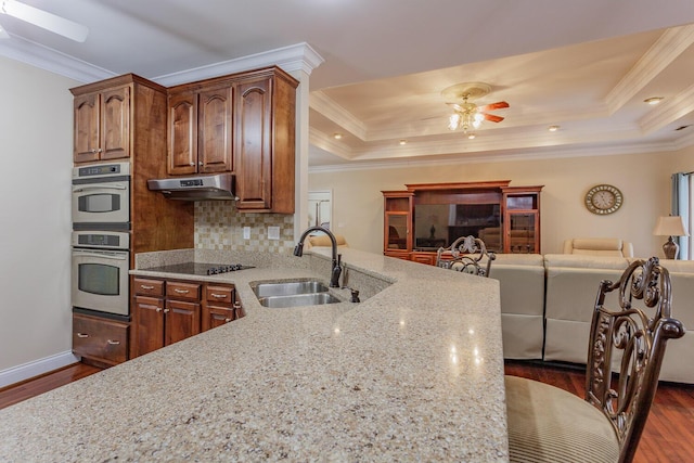 kitchen with a tray ceiling, light stone countertops, and sink