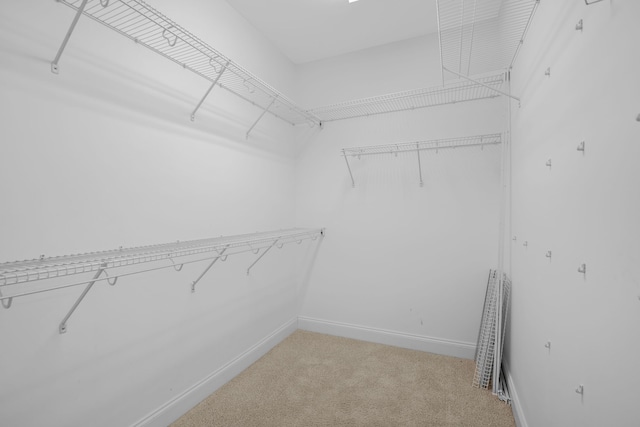 walk in closet with light carpet