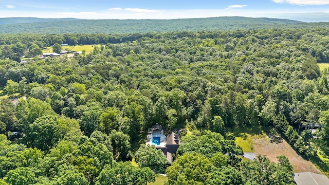8316 Hixson Springs Rd, Signal Mountain, TN 37377 - photo 11