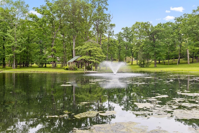 8316 Hixson Springs Rd, Signal Mountain, TN 37377 - photo 13