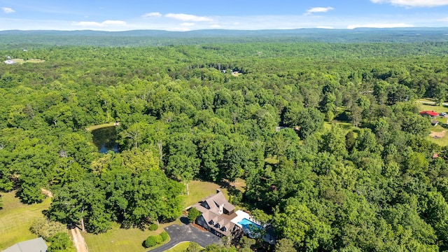 8316 Hixson Springs Rd, Signal Mountain, TN 37377 - photo 61
