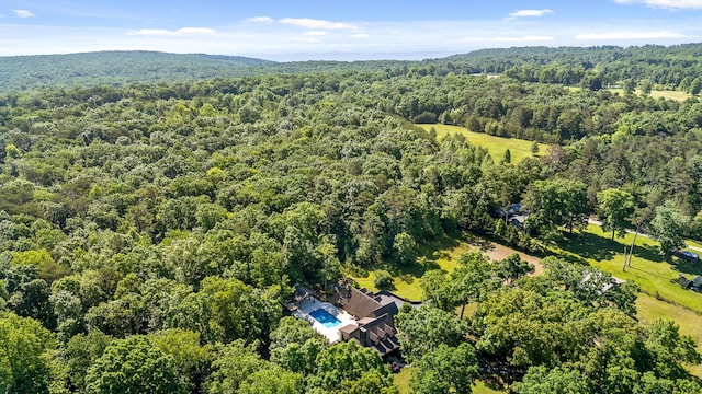 8316 Hixson Springs Rd, Signal Mountain, TN 37377 - photo 65