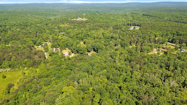 8316 Hixson Springs Rd, Signal Mountain, TN 37377 - photo 67