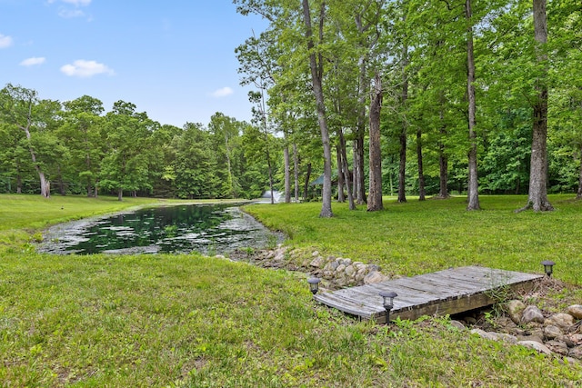 8316 Hixson Springs Rd, Signal Mountain, TN 37377 - photo 79