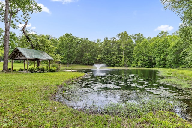 8316 Hixson Springs Rd, Signal Mountain, TN 37377 - photo 83
