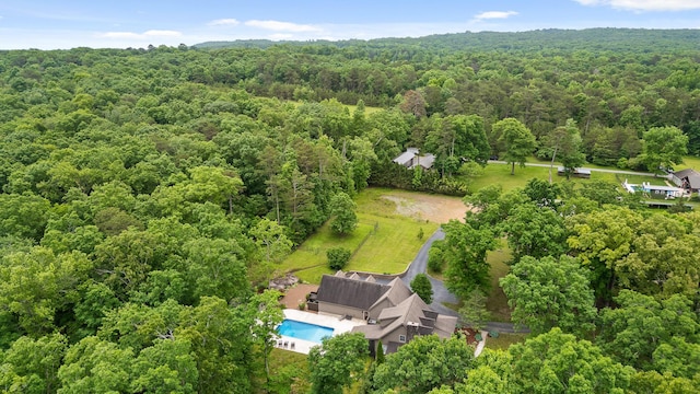 8316 Hixson Springs Rd, Signal Mountain, TN 37377 - photo 84