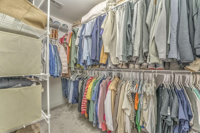 spacious closet featuring carpet floors