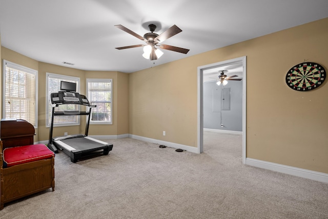 exercise room featuring light carpet