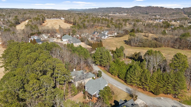 aerial view featuring a mountain view