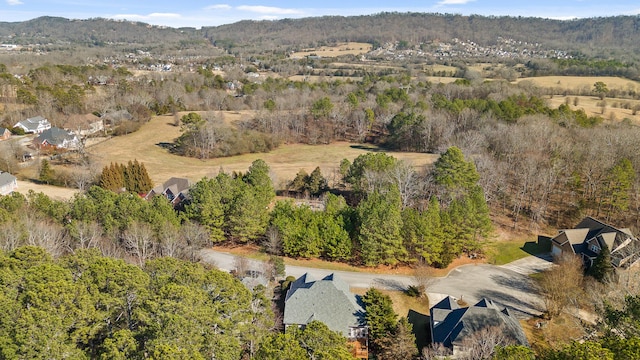 drone / aerial view featuring a mountain view