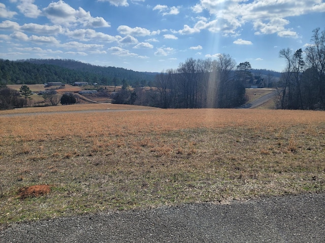 LOT38 Goodfield Terrance, Decatur TN, 37322 land for sale