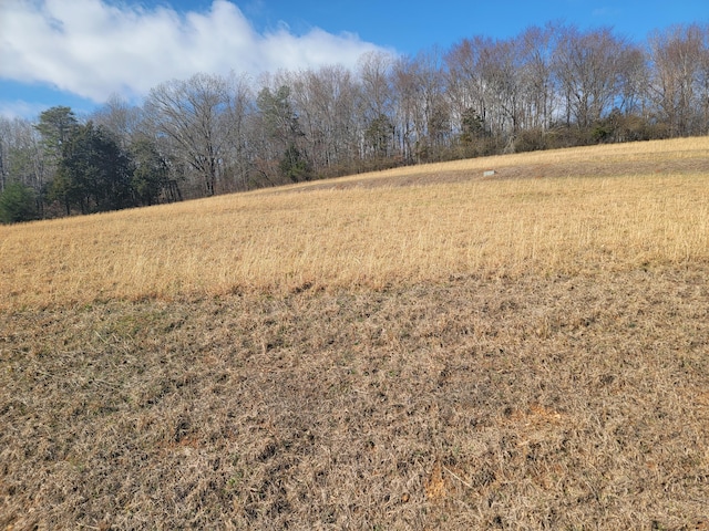 Listing photo 2 for LOT38 Goodfield Terrance, Decatur TN 37322