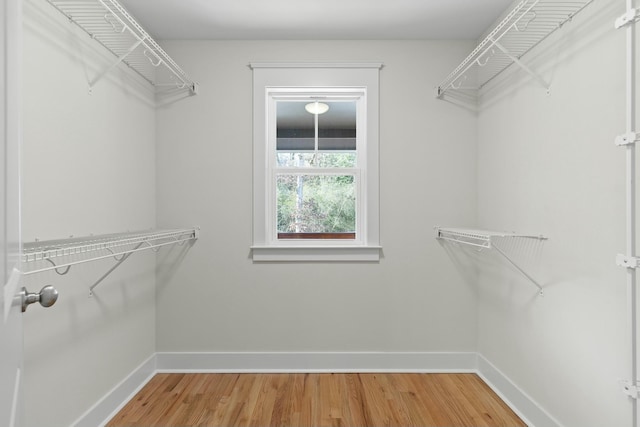 spacious closet featuring light wood-style flooring