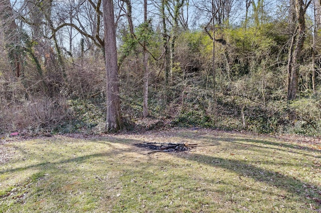 view of yard with a wooded view