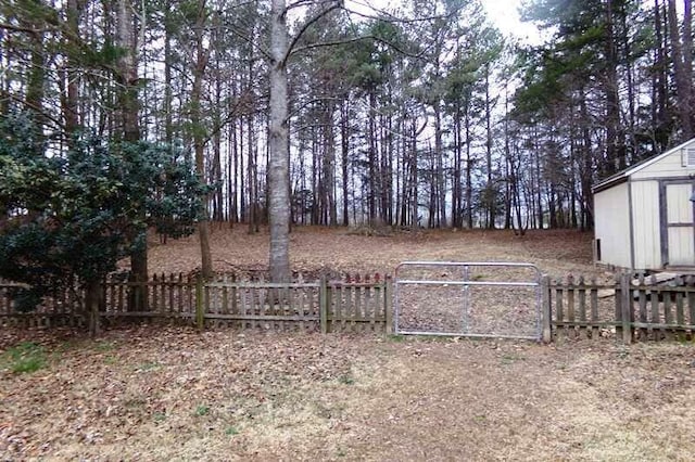 view of yard with a shed