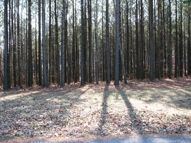 0 High Point Ln Lot 79, Jasper TN, 37347 land for sale