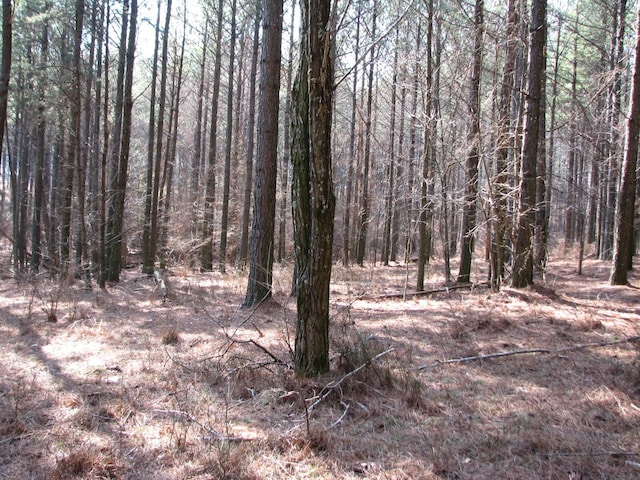 Listing photo 3 for 0 High Point Ln Lot 79, Jasper TN 37347