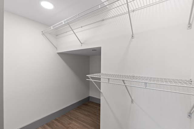 spacious closet featuring dark wood-type flooring