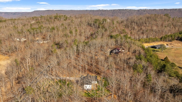 birds eye view of property featuring a mountain view and a wooded view