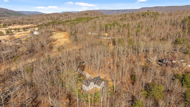 view of mountain feature featuring a view of trees