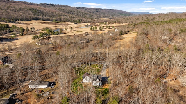 bird's eye view featuring a mountain view