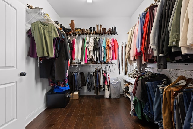 spacious closet with hardwood / wood-style floors