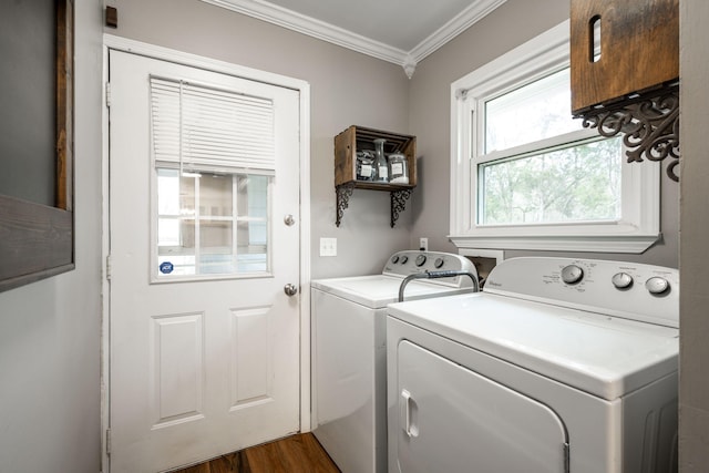 laundry room with crown molding, dark hardwood / wood-style floors, and independent washer and dryer