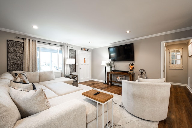 living room featuring hardwood / wood-style floors and crown molding