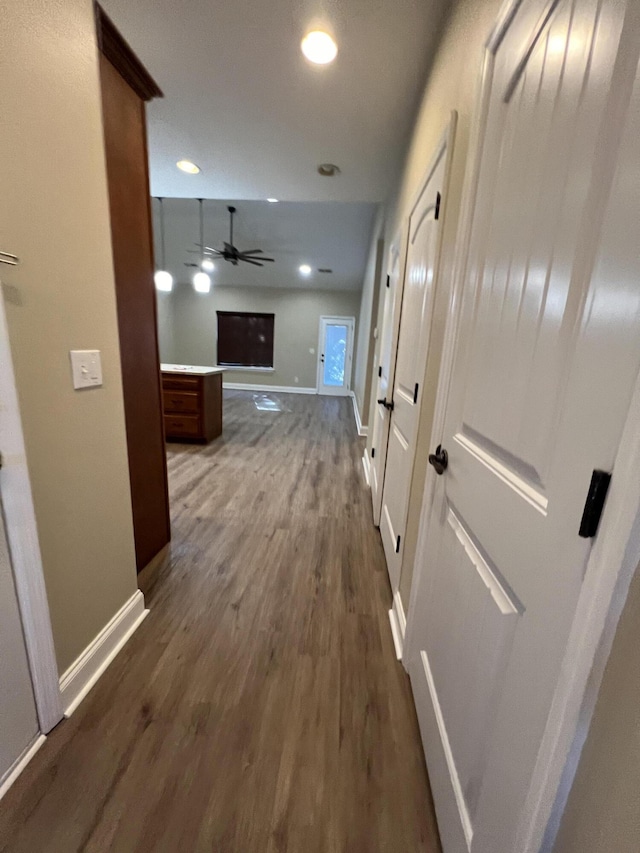 hall featuring dark wood-type flooring