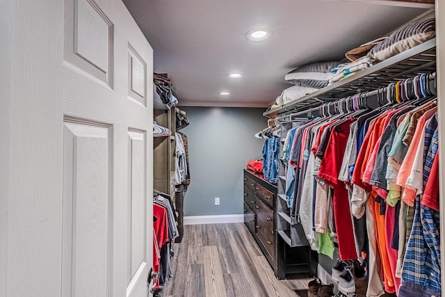 spacious closet with hardwood / wood-style flooring