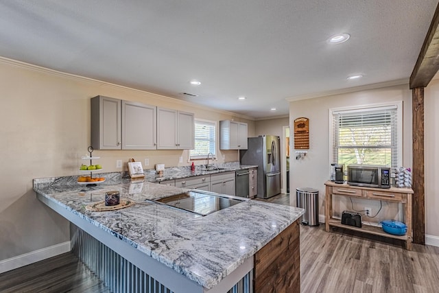 kitchen with gray cabinets, kitchen peninsula, wood-type flooring, and appliances with stainless steel finishes