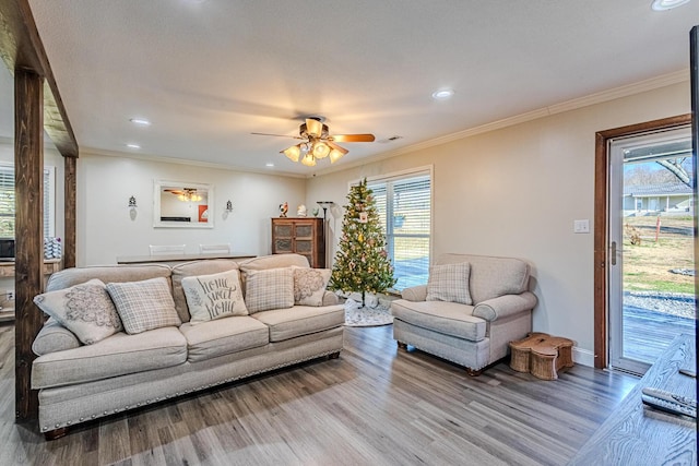 living room with ceiling fan, ornamental molding, and wood-type flooring