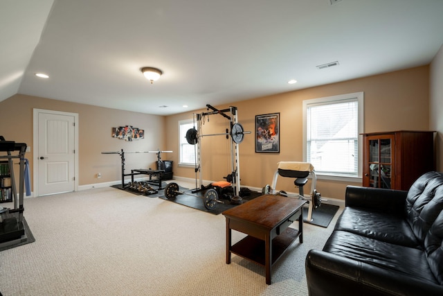 workout area featuring plenty of natural light and light carpet