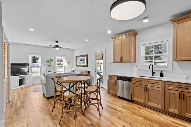 kitchen featuring sink, stainless steel dishwasher, light hardwood / wood-style floors, and a healthy amount of sunlight