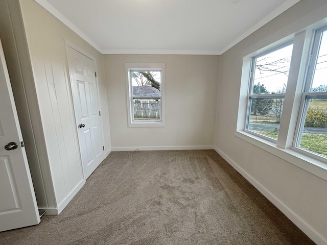 carpeted empty room featuring ornamental molding