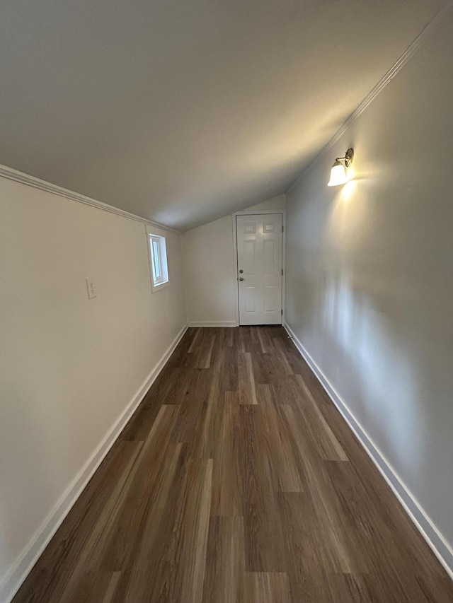 interior space with lofted ceiling and dark hardwood / wood-style flooring