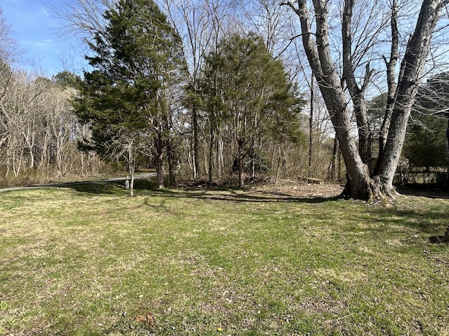 view of yard with a forest view