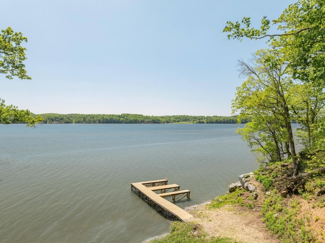 view of dock with a water view