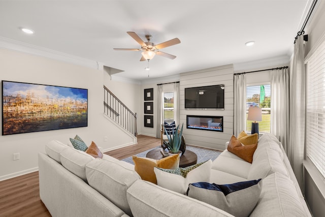 living room featuring crown molding, a fireplace, ceiling fan, and light wood-type flooring