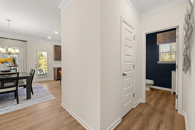 hallway with crown molding, a healthy amount of sunlight, and light hardwood / wood-style floors