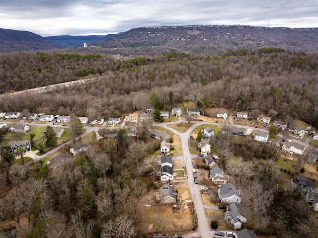 drone / aerial view featuring a mountain view