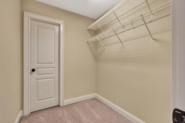 walk in closet featuring light colored carpet