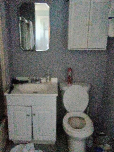 bathroom with toilet and vanity