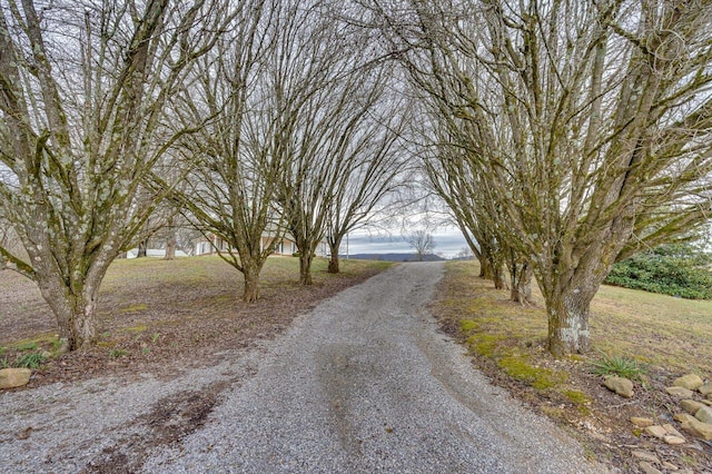 view of street