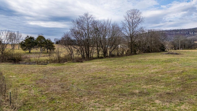 view of yard with a rural view