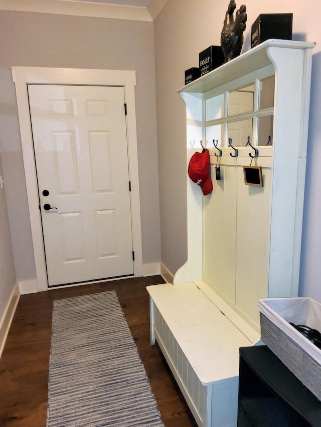 mudroom with dark wood-type flooring