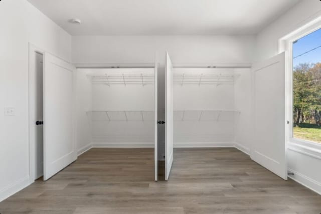 spacious closet featuring wood-type flooring