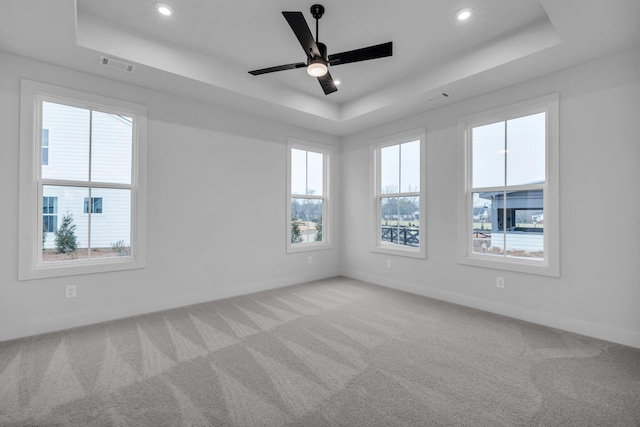 unfurnished room with a wealth of natural light, light colored carpet, and a tray ceiling